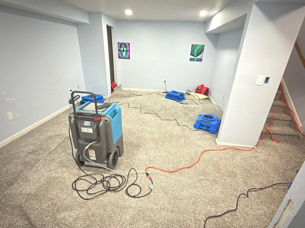 Flooded Basement Clean Up
