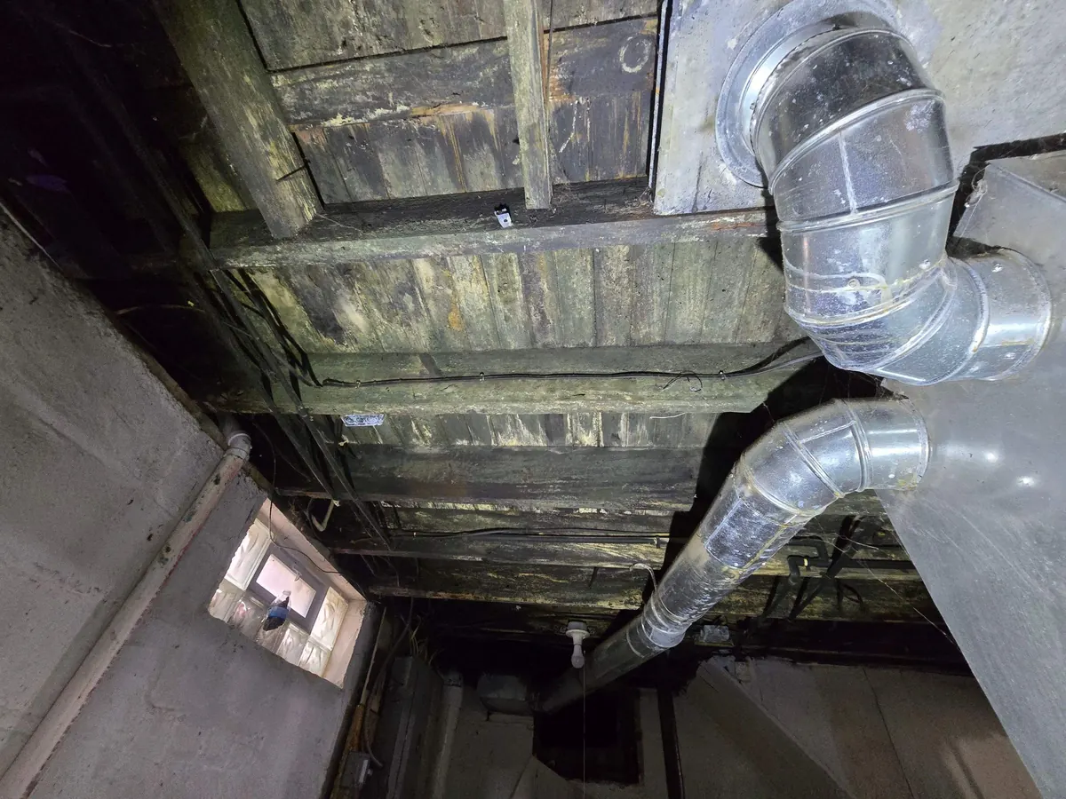 Mold remediation