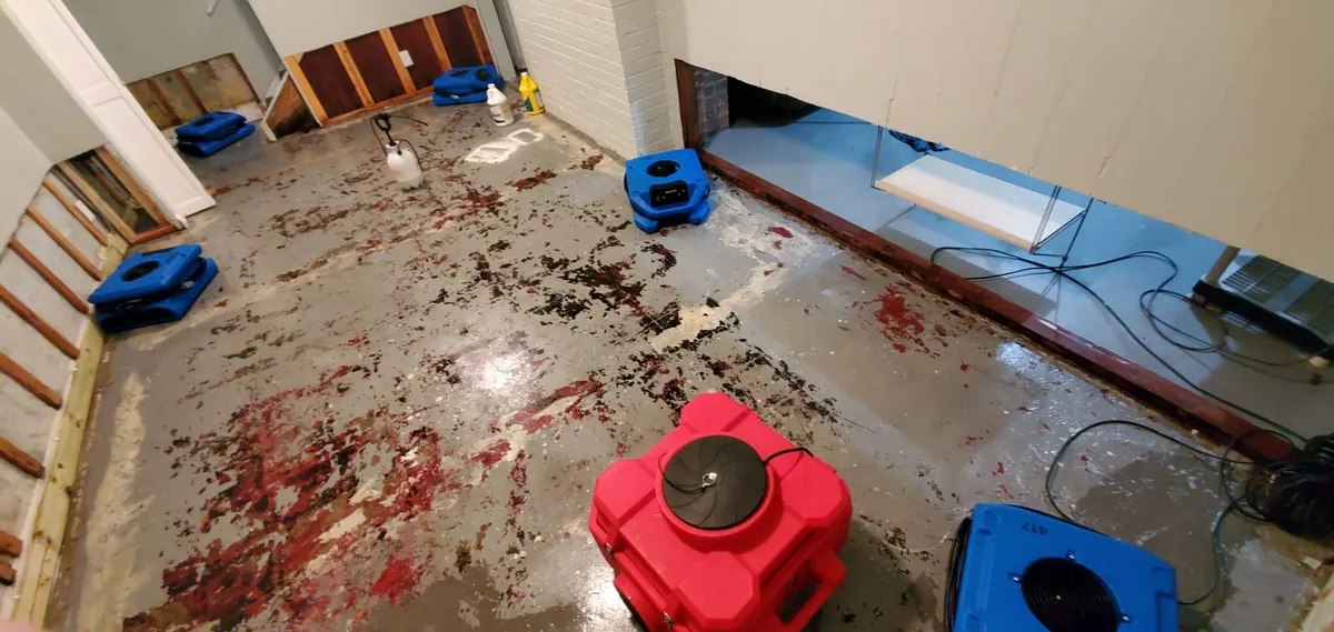 Sewage Clean Up