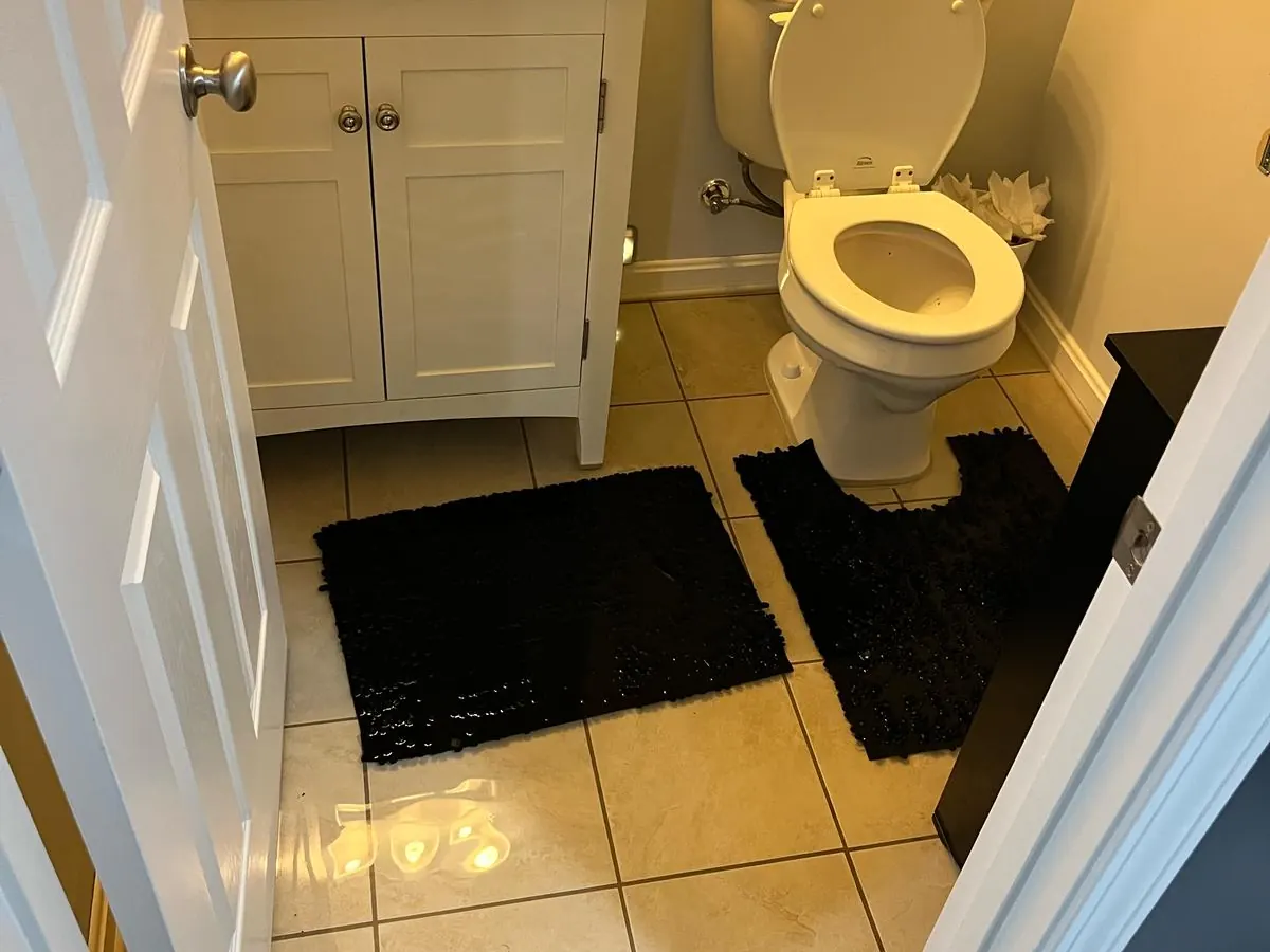 Toilet Overflow Clean Up